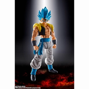 Limited Pack Display [SHF] SUPER SAIYAN GOD SUPER SAIYAN GOGETA
