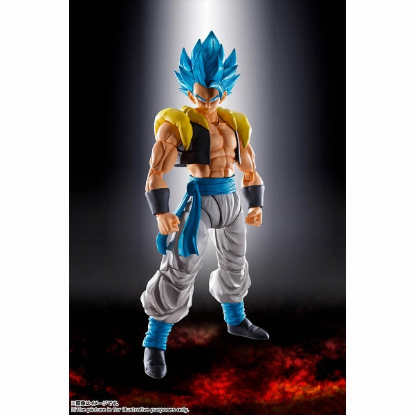 Limited Pack Display [SHF] SUPER SAIYAN GOD SUPER SAIYAN GOGETA