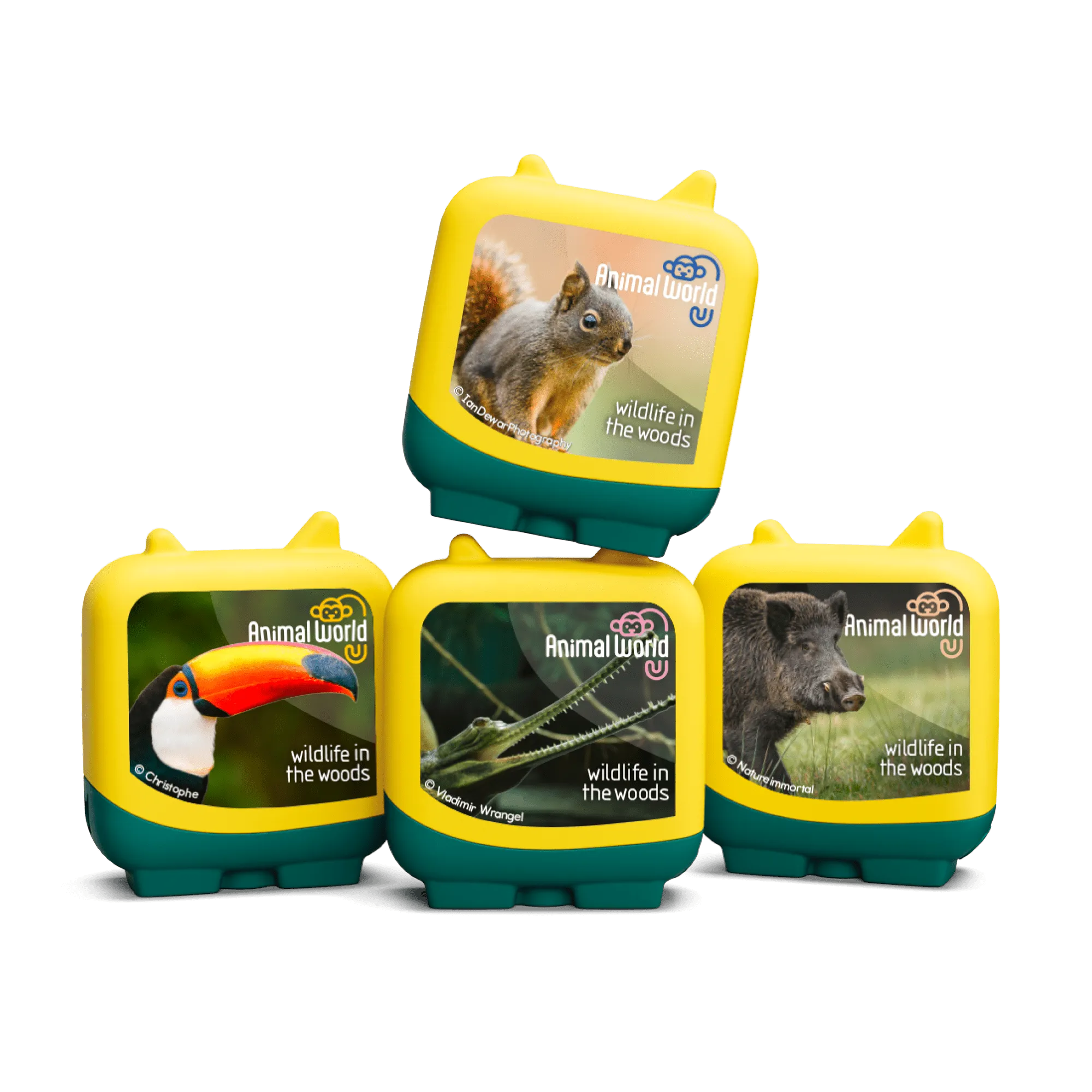 Test Pass Test Tube Animal World: Wildlife in the Woods Audio Clever Tonie Set