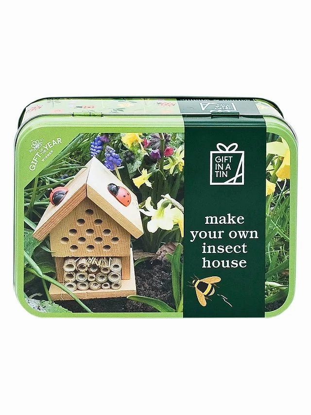 Apples To Pears Gift In A Tin Make your Own Insect House Talking Animal Algorithm Game