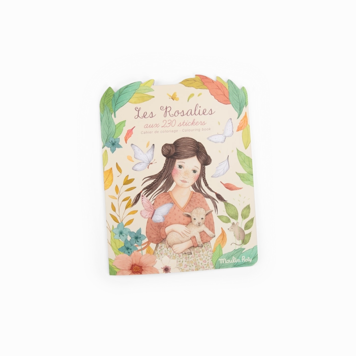 Box of 6 coloring books (20 pages) w/ 230 stickers - The Rosalies Gaming Hobby Hobby Figure