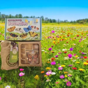 train station Prequel Story Butterfly and Bug Themed Set