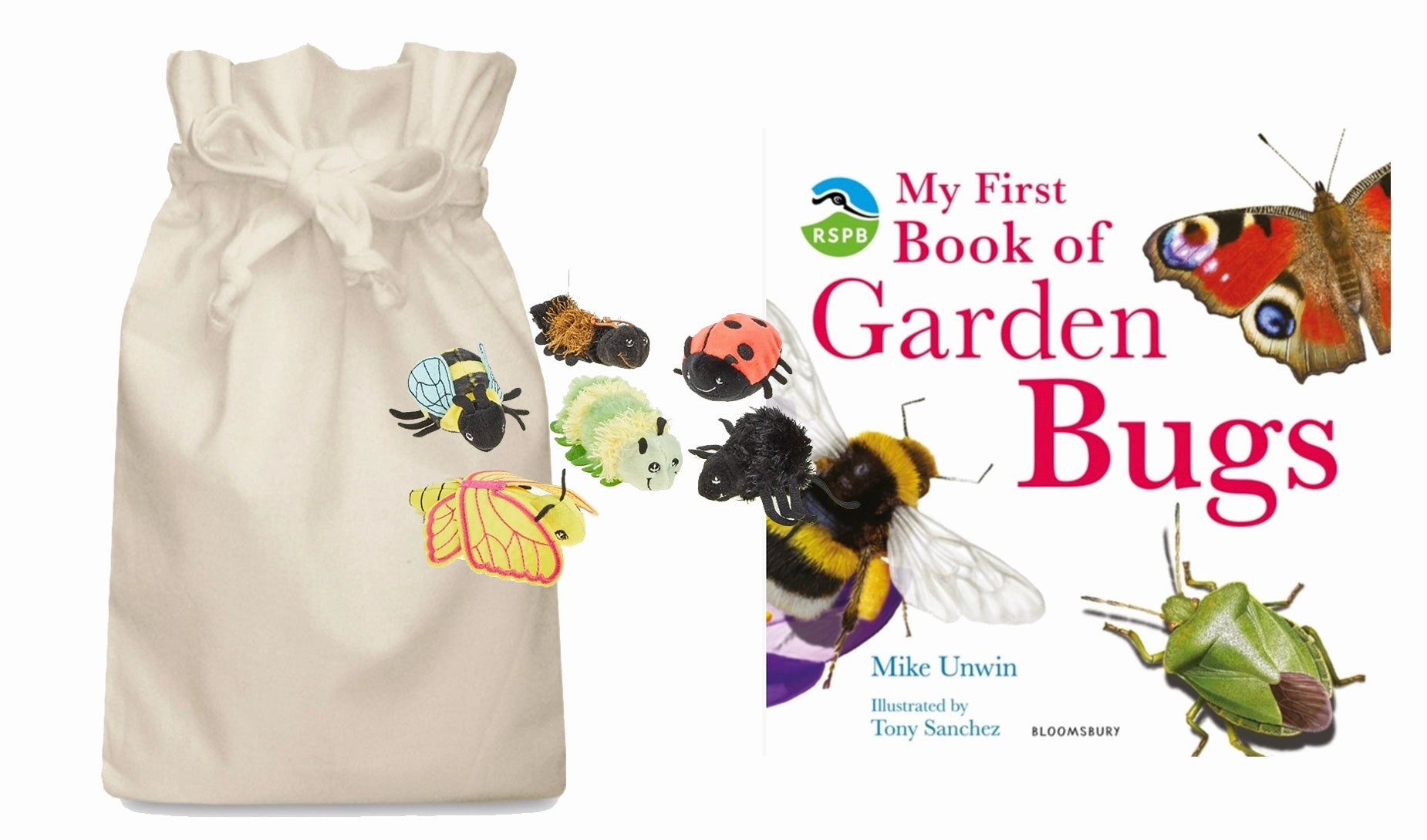 Creative Expression Record Break RSPB My First Book of Garden Bugs Story Sack with Puppet Company