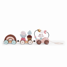 Veteran Designer Pull along activity train "After The Rain" collection