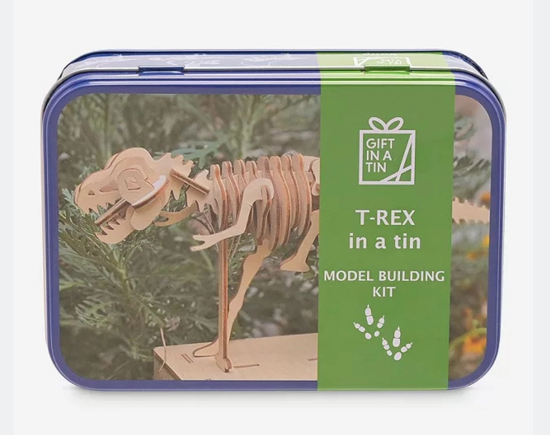 Archaeology Dig Diving Set Apples To Pears Gift In A Tin T-Rex model building kit
