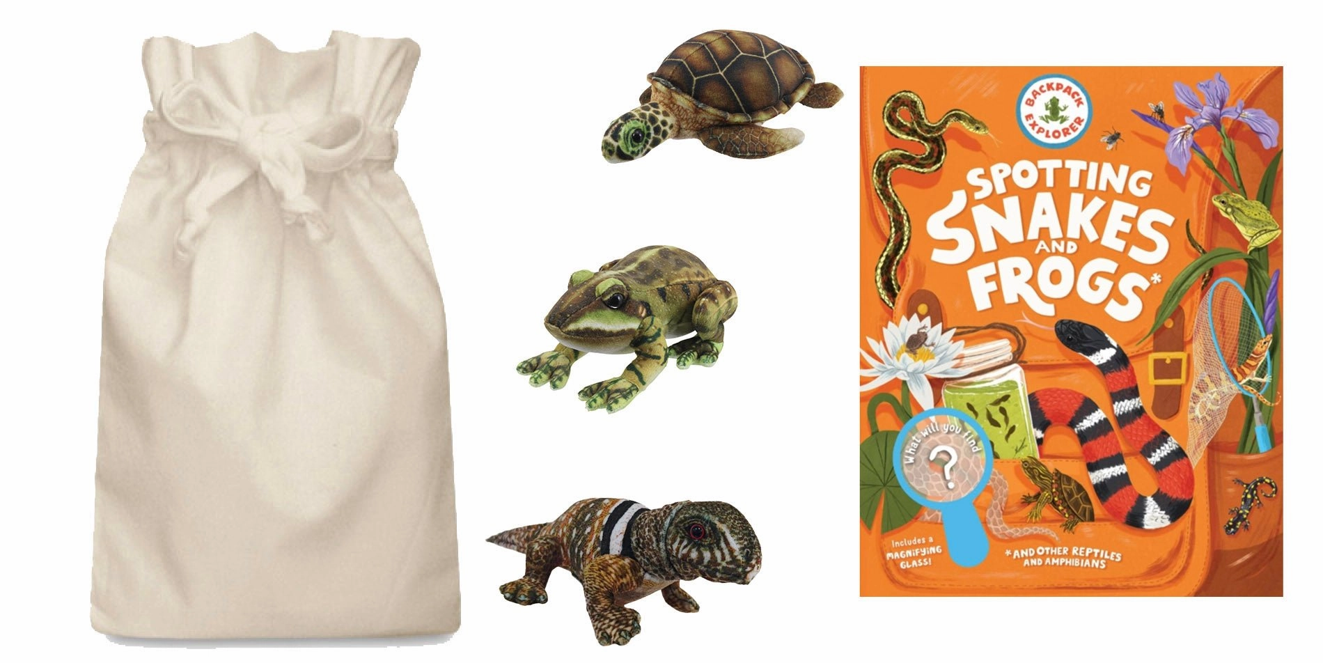 Planet Study Extreme Sport Reptiles and Amphibians Adventurers Story Sack
