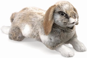 Motor Development Amplitude Change Folkmanis Holland Lop Eared Rabbit Hand Puppet