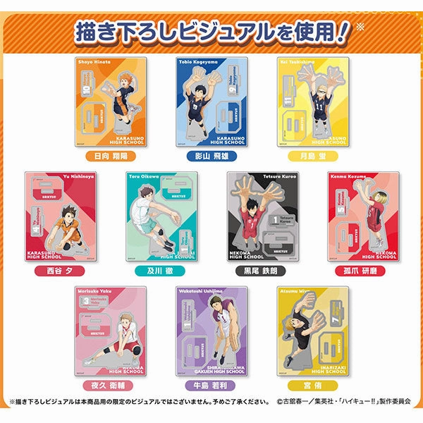 Exclusive Series Set Haikyuu!! Acrylic Stand Collection Plus (pack of 10) ???????? ????