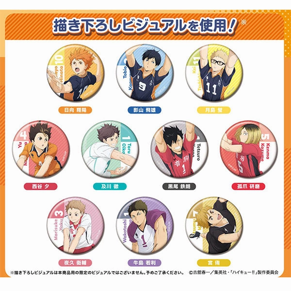 Toy Drop Display Haikyuu!! Tin Badge Collection (pack of 10) ???????? ????