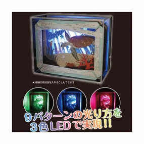 Wildlife Conservation PT-140 Paper Theater - Dragon Ball Z Awakening ???? ??????