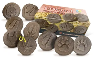 Cooperation Skill Yellow Door Farmyard Footprint Stones