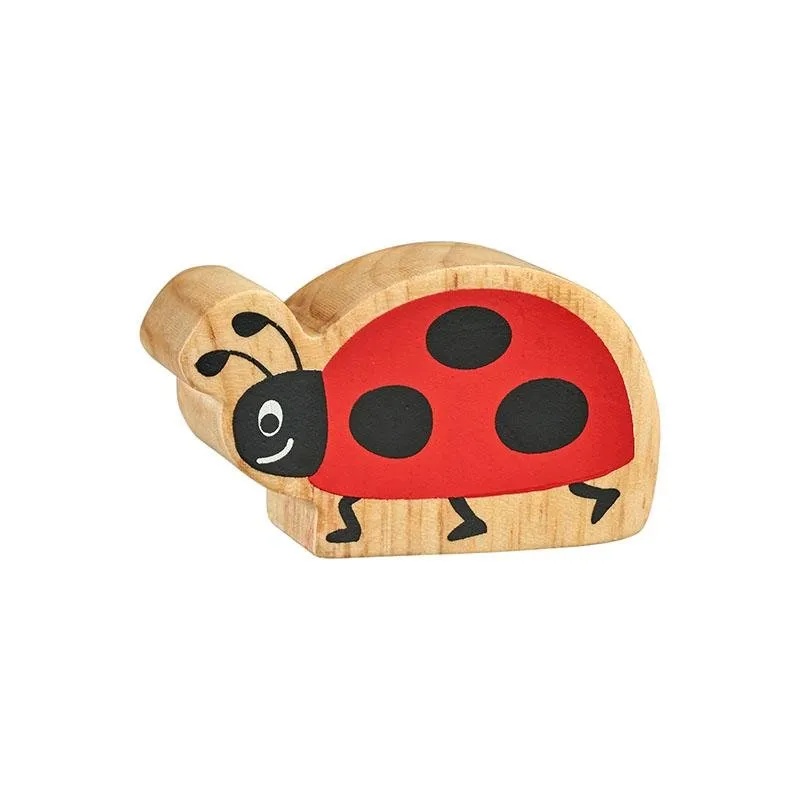 Earth Science Certificate Obtain Lanka Kade Wooden Ladybird