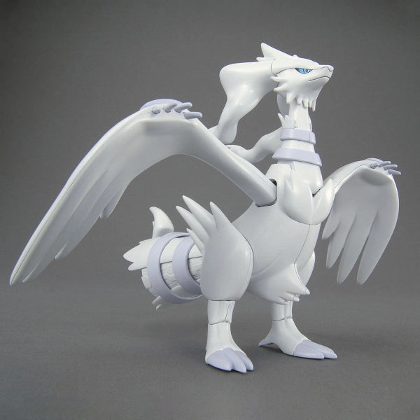 Exclusive Drop Series POKEPLA SELECT SERIES RESHIRAM ???` ???? ???? 013 ????