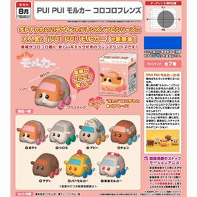Hidden Pack Discovery Collector's Pack Series PUI PUI MOLCAR ROLLING FRIENDS W/O GUM (Set of 7)