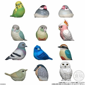 Toy Pack Display Exclusive Find Release TE-NORI FRIENDS 10 BIRD W/O GUM (set of 12) tenori