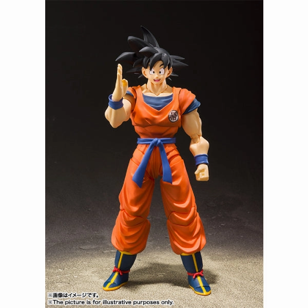 Surprise Find Series Collector's Edition Series S.H.Figuarts SON GOKU -A SAIYAN RAISED ON EARTH- ???? ?O???