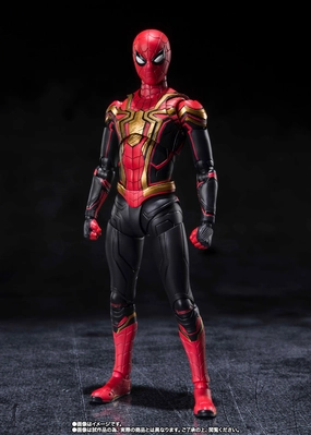 Robot Sculpture Geological Sample S.H.Figuarts Spider-Man (Integrated Suit) -Final Battle Edition-