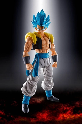 S.H.Figuarts Super Saiyan God Super Saiyan Gogeta (Re-Run) Artistic Sculpture Custom Arrangement
