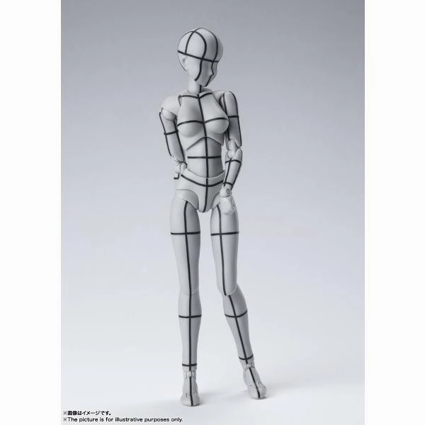 S.H.Figuarts Body-kun / Body-chan -Wire Frame- (Gray Color Ver.) (Apr 2022 resale ver.) Surprise Pack Display Surprise Drop Series