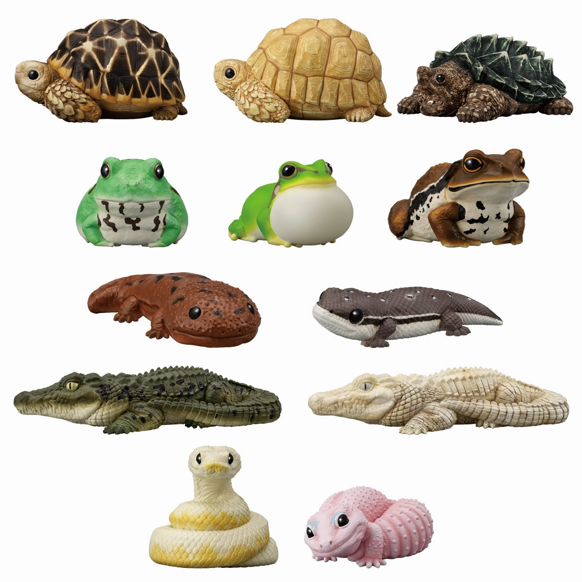 Toy Find Display Premium Collectible Item TE-NORI FRIENDS 12 -REPTILES & AMPHIBIANS-  W/O GUM (set of 12) ??????