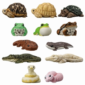 Toy Find Display Premium Collectible Item TE-NORI FRIENDS 12 -REPTILES & AMPHIBIANS-  W/O GUM (set of 12) ??????