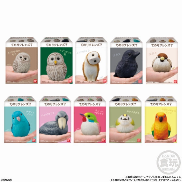 TE-NORI FRIENDS 7 -BIRDS- W/O GUM (set of 10) Hidden Pack Series Surprise Find Series