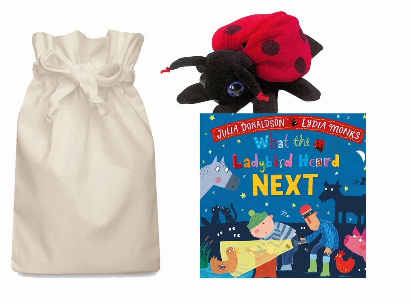 What the Ladybird Heard Next Story Sack with Hand Puppet Colorful pieces